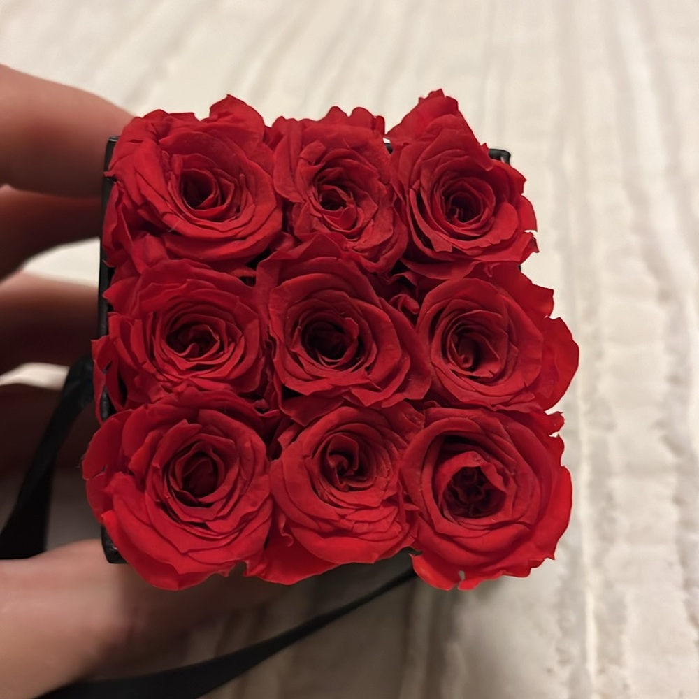Mini Venus Et Fleur Preserved Roses - Picture 2 of 4